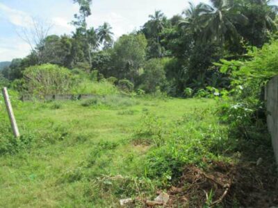 Land for sale in Digana, Kandy