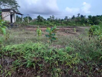 land sale in Hoarana Ballapitiya