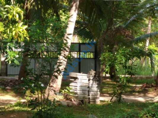 Habarana Holiday Bangalow Sale – Guest House for Sale