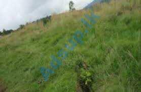 A Land for sale in Kandy