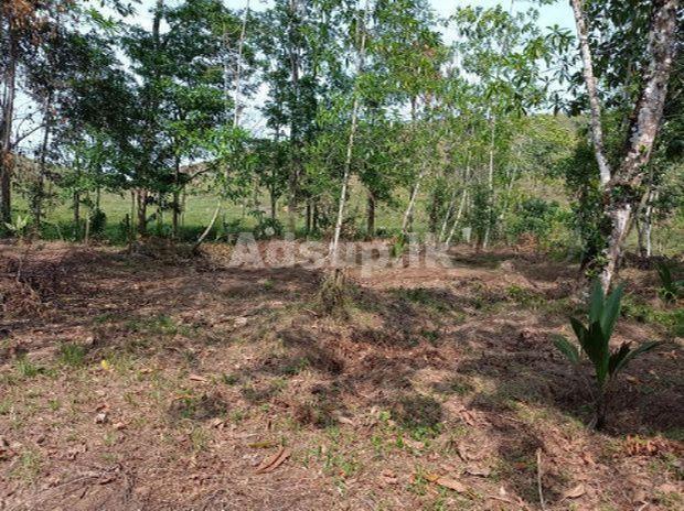 Land for Sale in Welikanna