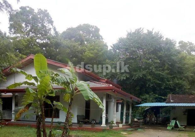 House for sale in Jayanthipura, Polonnaruwa.