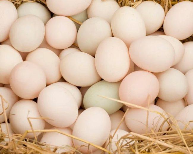 Duck eggs (තාර බිත්තර)