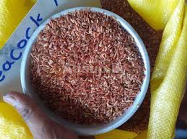 Red Rice for Birds