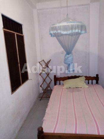 Room for Rent at Ambueldeniya