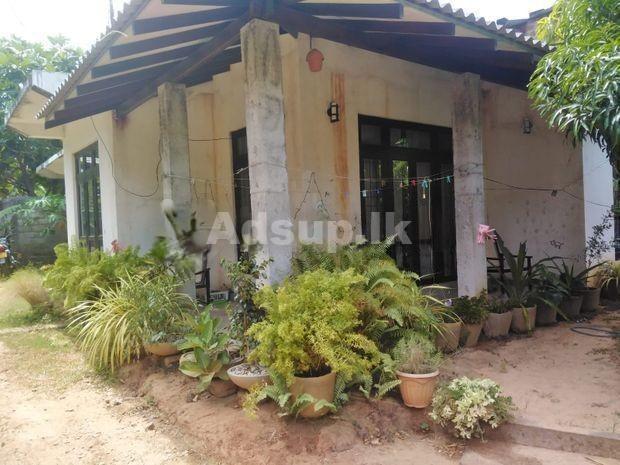 House for Sale in Polonnaruwa