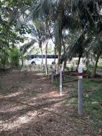 Land for Sale in Polommaruwa,tangalle