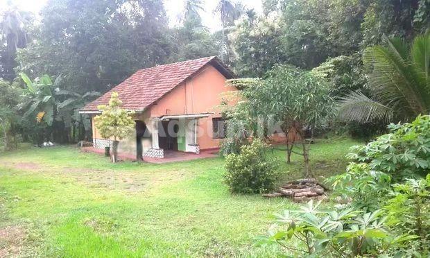 House for Rent in Katunayake