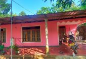 House for Sale in Narammala