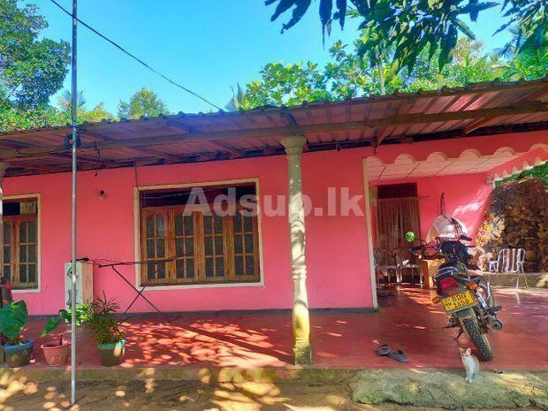 House for Sale in Narammala
