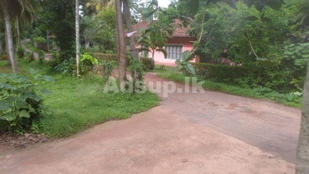 House for Sale in Jayala Kotogoda