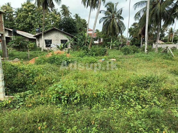 Land for sale in Katana
