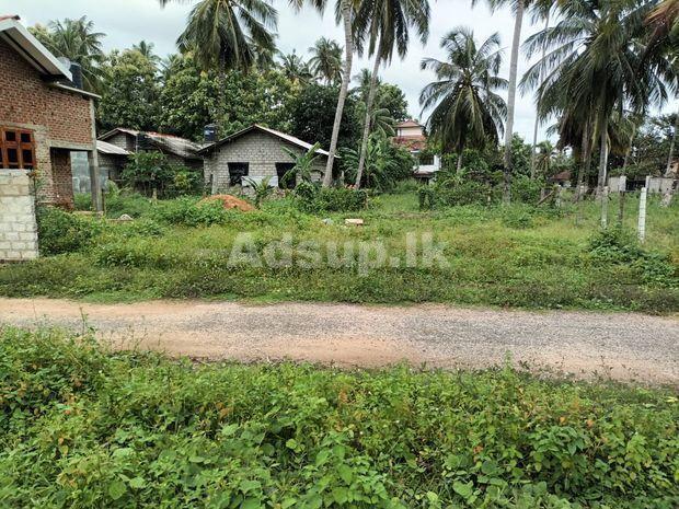Land for sale in Katana