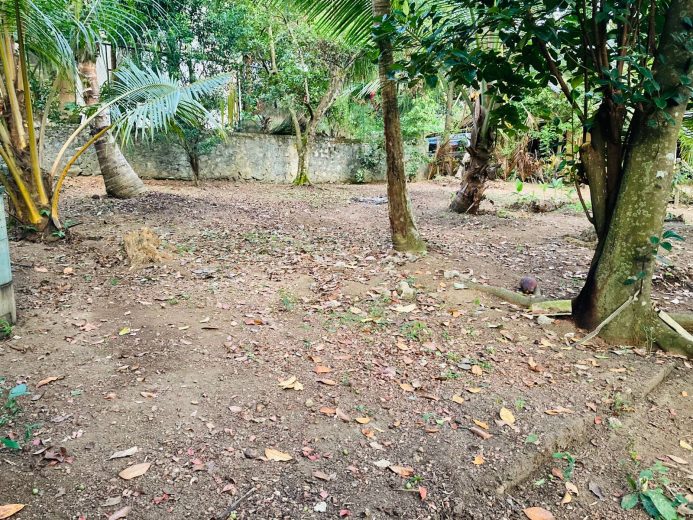 10Perches Commercial Or Residential Land for Sale in Malabe