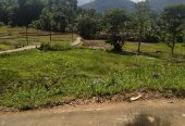 Land for sale in Aranayaka