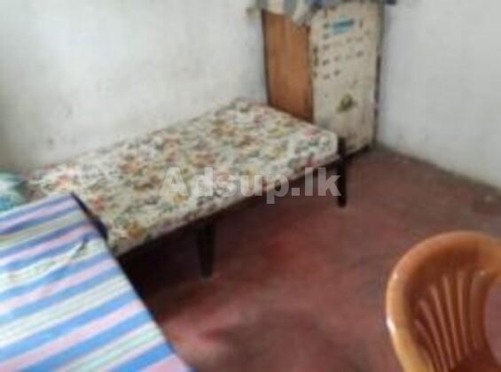 Rooms for Rent in Pamankada Col 06