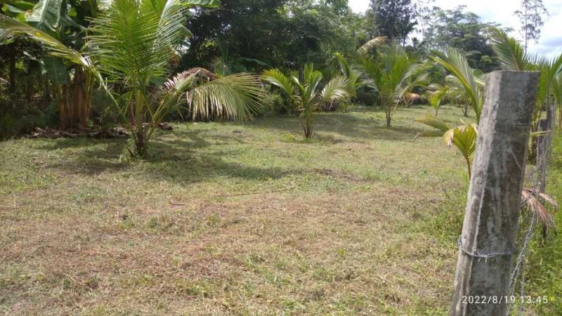 Land for sale in Moragahena
