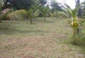 Land for sale in Moragahena