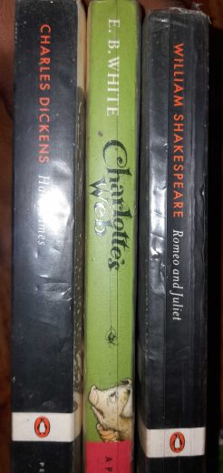 Wimpy kid and Shakespeare books