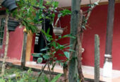 Two-storied house for Sale in Sapugaskanda
