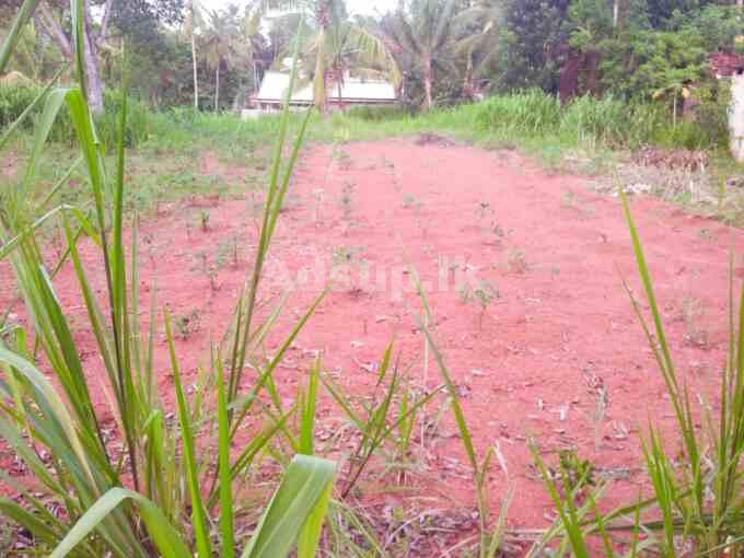 70 Perch Land for Sale in kurunegala