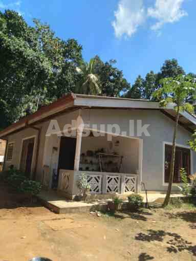 House For Sale Hingula