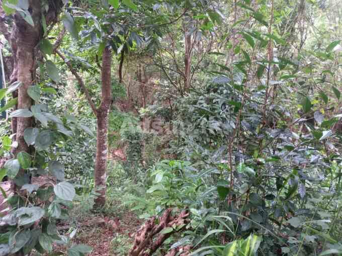 Land For Lase Near The Amaya Hills Hotel Kandy