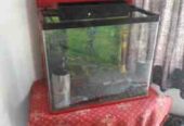 Fish thank for Sale