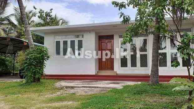 House for rent in I.D.H Gothatuwa