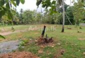 Land for sale in Negombo Kochchikade