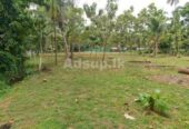 Land for sale in Negombo Kochchikade