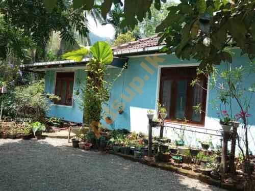 Land and house for sale in Badulla bandarawela