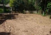 Land for Sale Digana