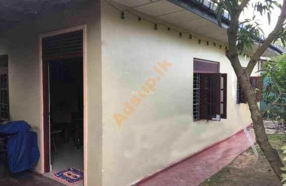 House for rent in Kesbawa