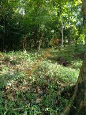 Land for sale in Kundasale – Kandy