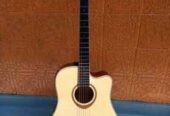 High Quality Semi Acoustic Guitar (Tayste TS320-D)