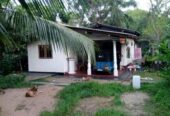 20 purchase with house in Hikkaduwa