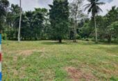 Land for sale in Katunayake Minuwangoda