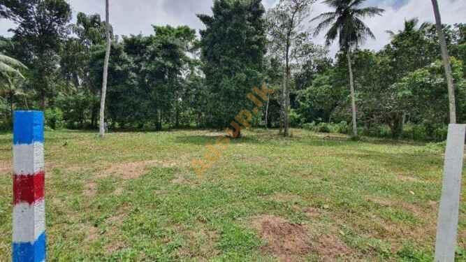 Land for sale in Katunayake Minuwangoda