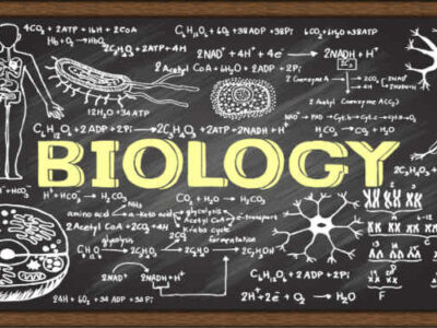 biology-101-syllabus-resource-lesson-plans_139158_large