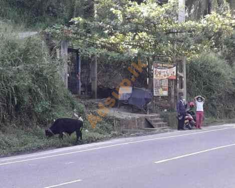 Land for Sale in Galagedara Kurunagala – Kandy Road