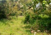 Land for Sale Kandalama කණ්ඩලම