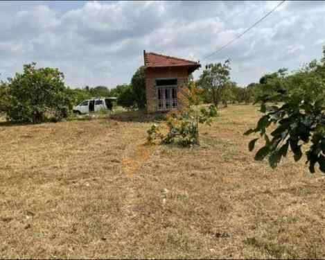 Land for Sale in Wanathawilluwa