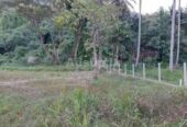 Kurunegala Dambulla land for sale