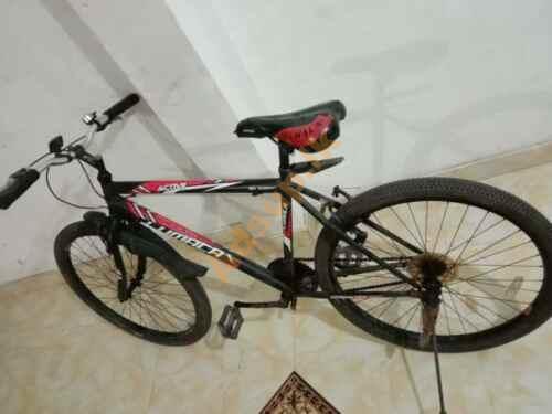 Lumala Foot Bicycle