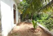 House For Sale in Gampaha – ගම්පහ නිවසක්