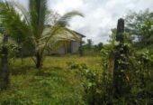 Land for Sale in Nittambuwa – Half Finished House
