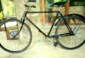 Raleigh Bicycle for Sale