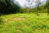 Beautiful Land for sale in Haldummulla