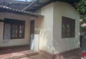 House for Rent Pilyandala